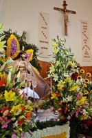 sn Lucas 15jun-22jun